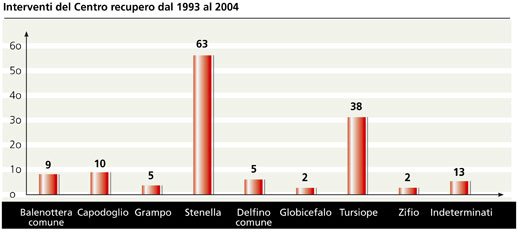 Rilevamento degli spiaggiamenti di cetacei